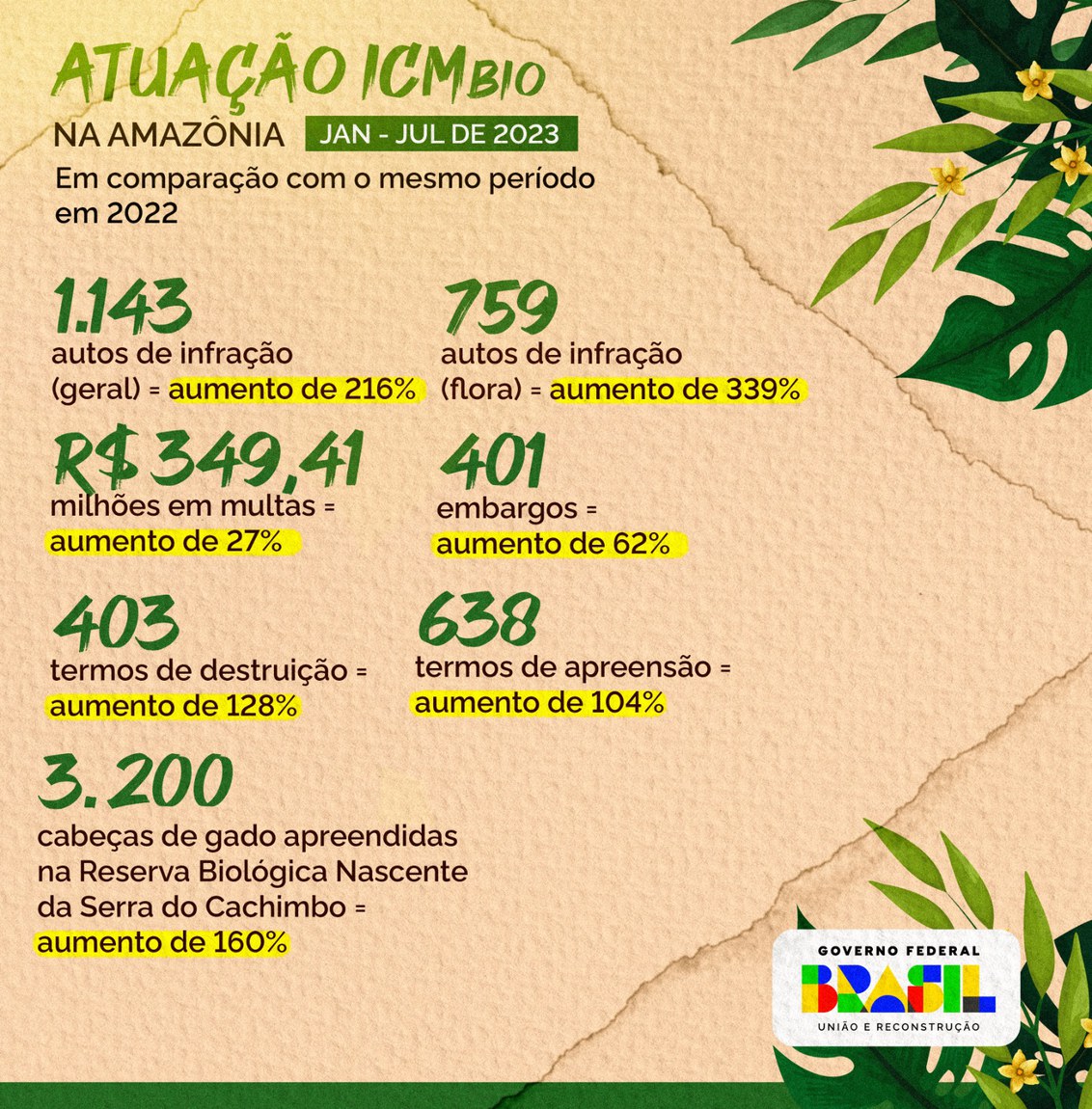 desmatamento na amazonia tem queda historica de 66 em julho