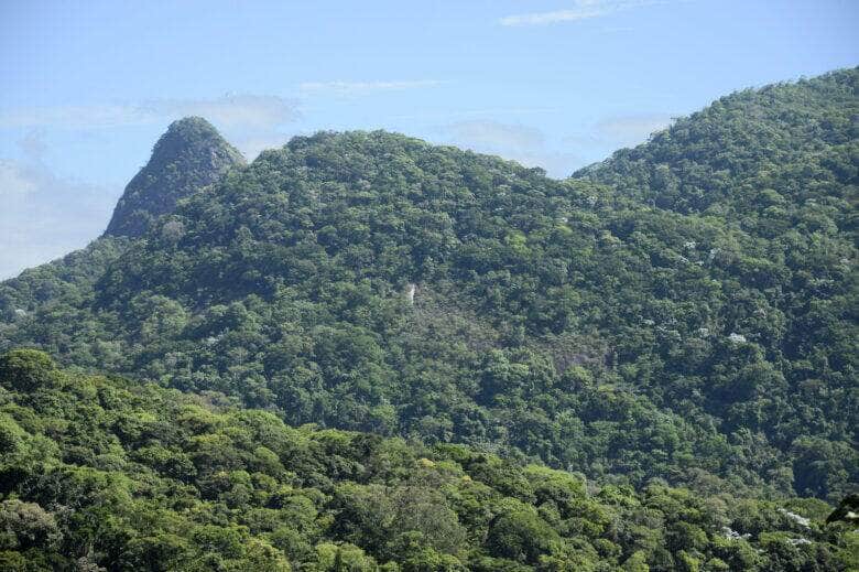 desmatamento na mata atlantica cai 42 no acumulado do ano ate maio scaled 1
