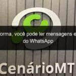 dessa forma voce pode ler mensagens excluidas do whatsapp 1107622