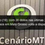 domingo 19 com 36 obitos nas ultimas 24 horas casos em mato grosso volta a disparar 938105