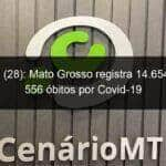 domingo 28 mato grosso registra 14 654 casos e 556 obitos por covid 19 928187