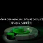 e uma cadela que resolveu adotar porquinhos como filhotes videos 1139232