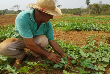 Foram financiados recursos na ordem de R$ 134,8 milhões para investimento e custeio para agricultores de Mato Grosso - Foto por: Empaer-MT
