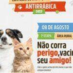 em duas semanas sorriso imuniza mais de 2 2 mil animais