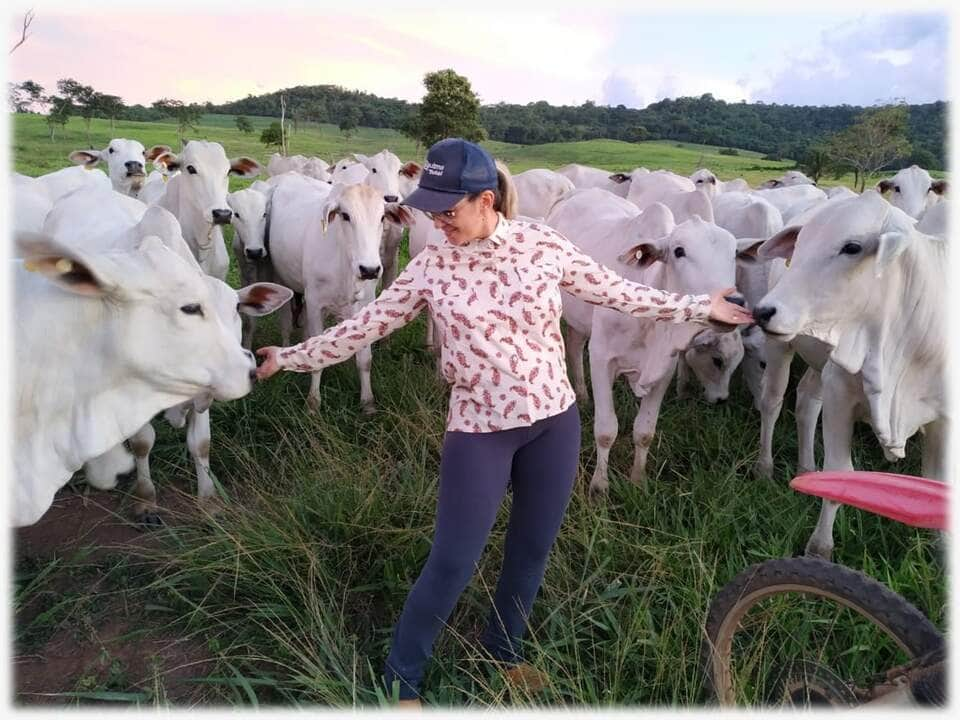 Lotação saltou de 3,8 Unidades Animais por hectare (UA/ha) para 8,6 UA/ha, no município de Jaciara.  - Foto por: Empaer-MT