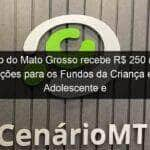 estado do mato grosso recebe r 250 mil em doacoes para os fundos da crianca e do adolescente e do idoso 889922