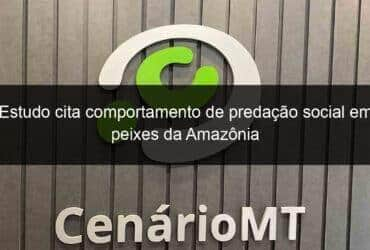 estudo cita comportamento de predacao social em peixes da amazonia 1008502