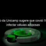 estudo da unicamp sugere que covid 19 pode infectar celulas adiposas 935802