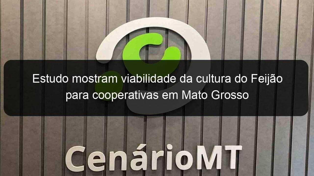 estudo mostram viabilidade da cultura do feijao para cooperativas em mato grosso 1155256