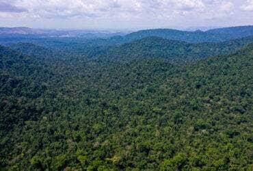 Mato Grosso: Polícia Federal combate quadrilha que provocou o maior desmatamento do bioma amazônico