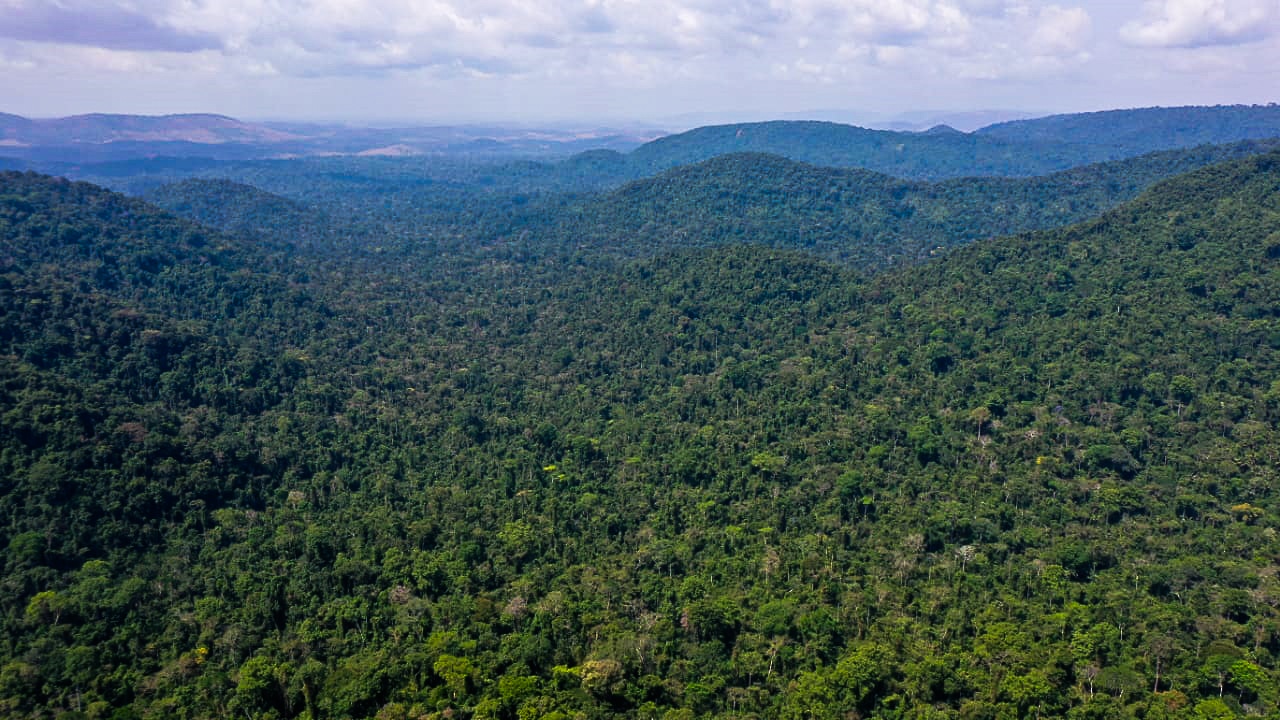 Mato Grosso: Polícia Federal combate quadrilha que provocou o maior desmatamento do bioma amazônico