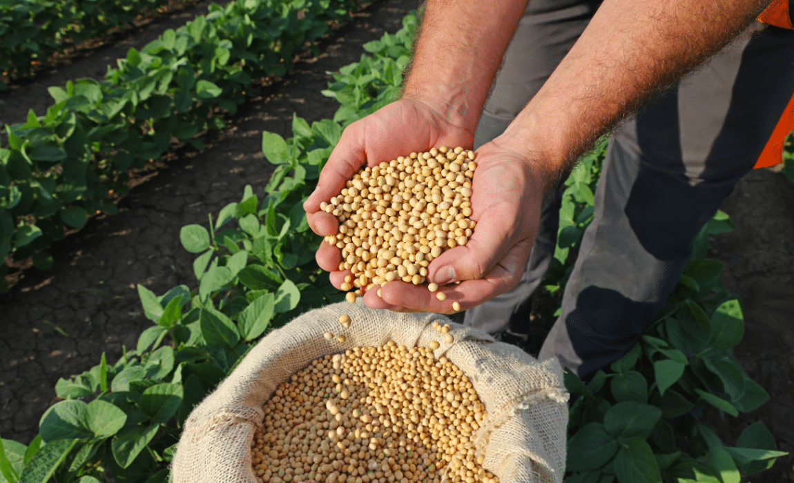 Exportações do agronegócio em setembro foram de US$ 13,71 bilhões