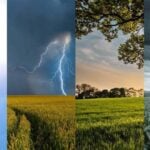 Fiocruz lança Plataforma de Dados Climáticos, Ambientais e de Saúde - Foto: Divulgação