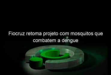 fiocruz retoma projeto com mosquitos que combatem a dengue 925526