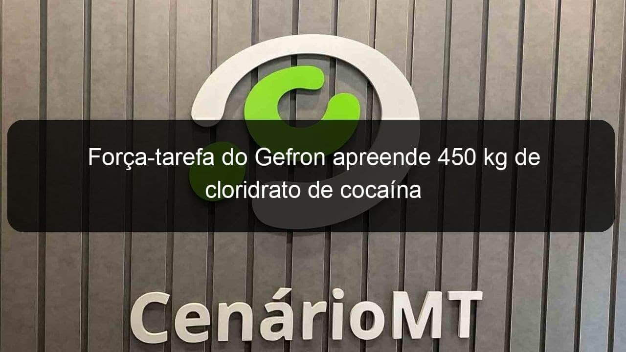 forca tarefa do gefron apreende 450 kg de cloridrato de cocaina 1356811