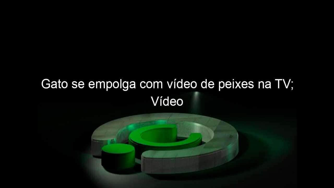 gato se empolga com video de peixes na tv video 1129983