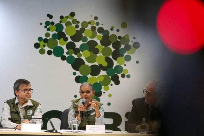 Bolsa Verde