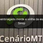 homem embriagado morde a virilha da esposa em sinop 1109205