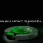 homem salva cachorro de crocodilos video 1092622