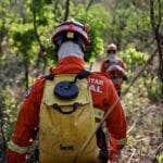 Ações de combate ao fogo começaram no último dia 31 de agosto - Foto por: Christiano Antonucci