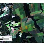 Inteligência artificial torna mais preciso o mapeamento da intensificação agrícola no Cerrado - Foto: Divulgação/Embrapa