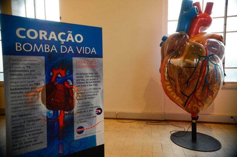 internacoes por infarto aumentam mais de 150 no brasil scaled 1