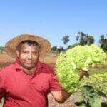 investimentos fomentam producao de frutas e hortalicas da agricultura familiar