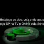 jogo do botafogo ao vivo veja onde assistir avai x botafogo sp na tv e online pela serie b do campeonato brasileiro 952127