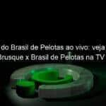 jogo do brasil de pelotas ao vivo veja onde assistir brusque x brasil de pelotas na tv e online pela copa do brasil 956220