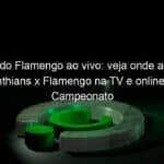 jogo do flamengo ao vivo veja onde assistir corinthians x flamengo na tv e online pelo campeonato brasileiro feminino 842579