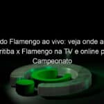 jogo do flamengo ao vivo veja onde assistir coritiba x flamengo na tv e online pelo campeonato brasileiro sub 20 838100