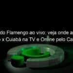 jogo do flamengo ao vivo veja onde assistir flamengo x cuiaba na tv e online pelo campeonato brasileiro 1079960