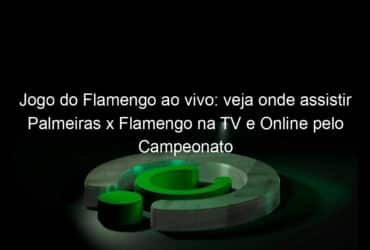 jogo do flamengo ao vivo veja onde assistir palmeiras x flamengo na tv e online pelo campeonato brasileiro 1130169