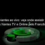 jogo do nantes ao vivo veja onde assistir marselha x nantes tv e online pelo frances 896728