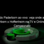 jogo do paderborn ao vivo veja onde assistir paderborn x hoffenheim na tv e online pelo campeonato alemao 916043