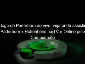 jogo do paderborn ao vivo veja onde assistir paderborn x hoffenheim na tv e online pelo campeonato alemao 916043