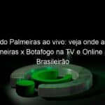 jogo do palmeiras ao vivo veja onde assistir palmeiras x botafogo na tv e online pelo brasileirao 1011202