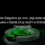 jogo do salgueiro ao vivo veja onde assistir salgueiro x santa cruz na tv e online pelo campeonato pernambucano 944606