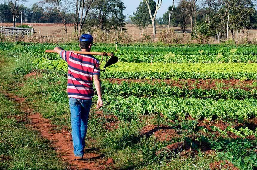 lei que retoma o programa de aquisicao de alimentos e sancionada