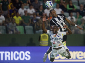 Botafogo, goiás, brasileiro Por: Vítor Silva/Botafogo/Direitos reservados