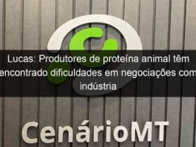 lucas produtores de proteina animal tem encontrado dificuldades em negociacoes com industria 1025819