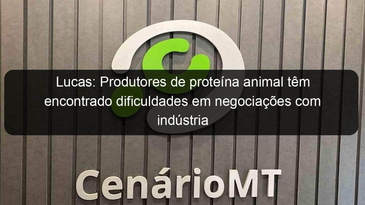 lucas produtores de proteina animal tem encontrado dificuldades em negociacoes com industria 1025819