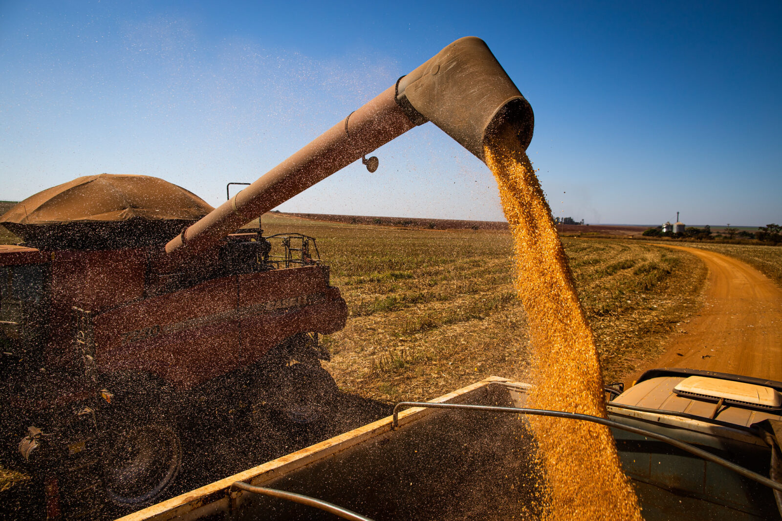 mais 90 empresas sao habilitadas para vender milho a china