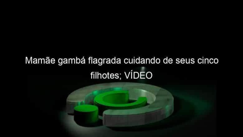 mamae gamba flagrada cuidando de seus cinco filhotes video 1137093