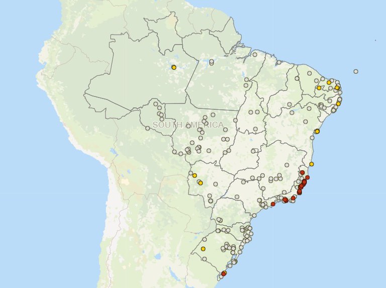 mapa disponibiliza painel sobre focos confirmados de influenza aviaria