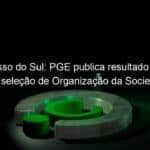 mato grosso do sul pge publica resultado preliminar para selecao de organizacao da sociedade civil 1044198