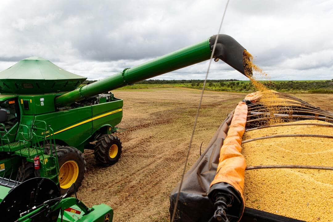 Mato Grosso ledera mais uma vez a produção de alimentos entre cereais, leguminosas e oleaginosas