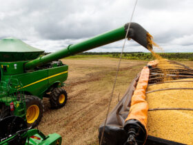 Mato Grosso ledera mais uma vez a produção de alimentos entre cereais, leguminosas e oleaginosas