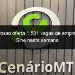 mato grosso oferta 1 501 vagas de emprego pelo sine nesta semana 872337