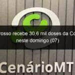 mato grosso recebe 306 mil doses da coronavac neste domingo 07 1012587